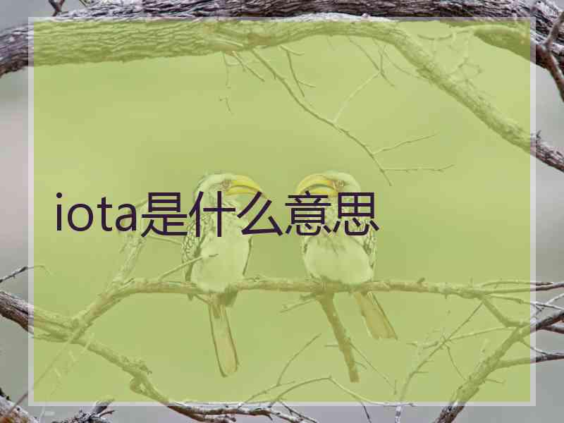 iota是什么意思