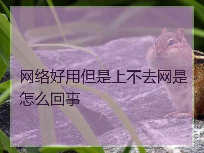 网络好用但是上不去网是怎么回事