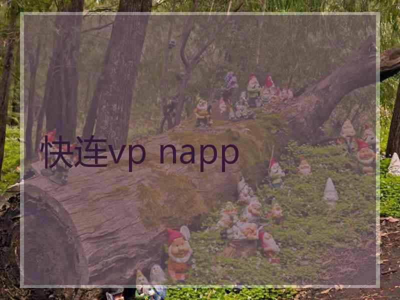 快连vp napp