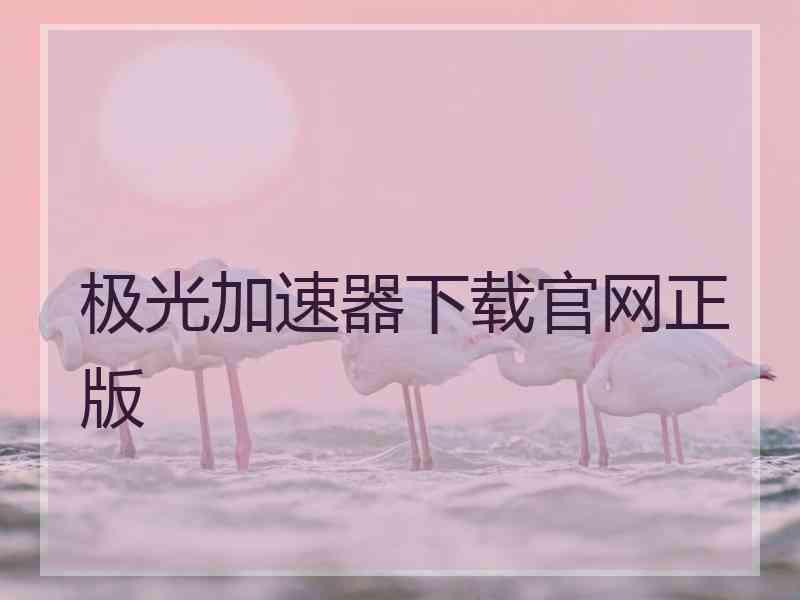 极光加速器下载官网正版