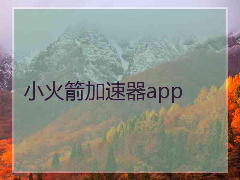 小火箭加速器app