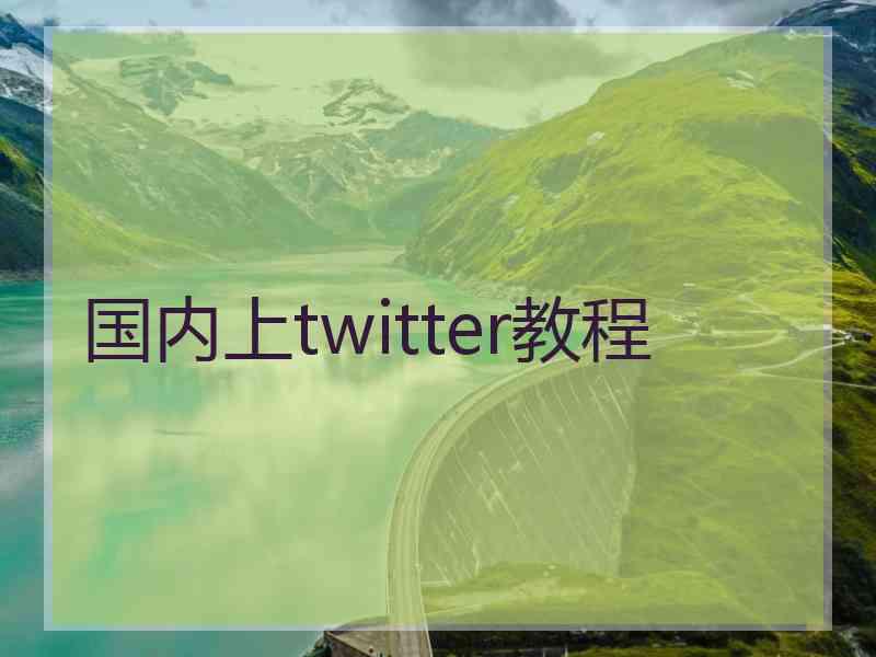 国内上twitter教程