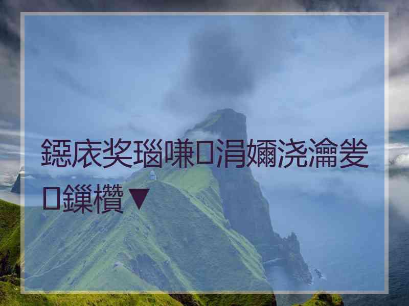 鐚庡奖瑙嗛涓嬭浇瀹夎鏁欑▼