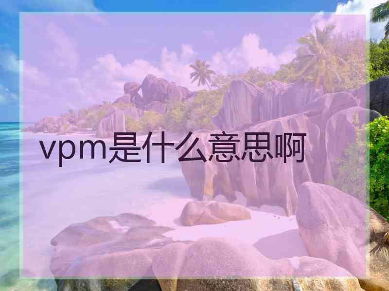 vpm是什么意思啊