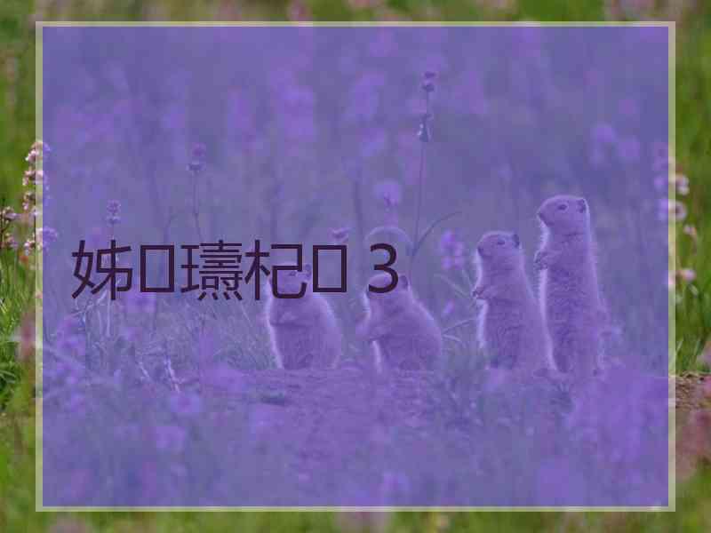 姊瓙杞３