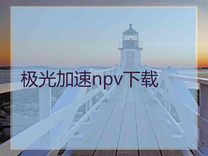 极光加速npv下载