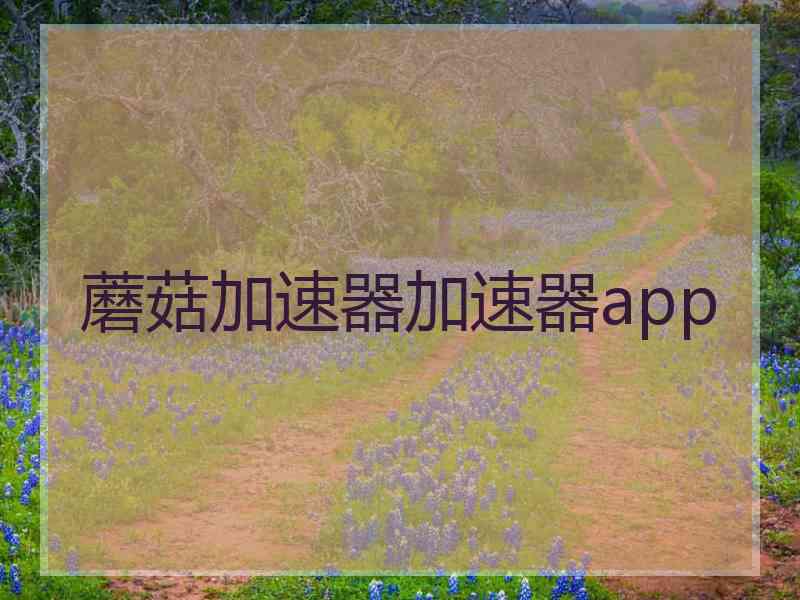 蘑菇加速器加速器app