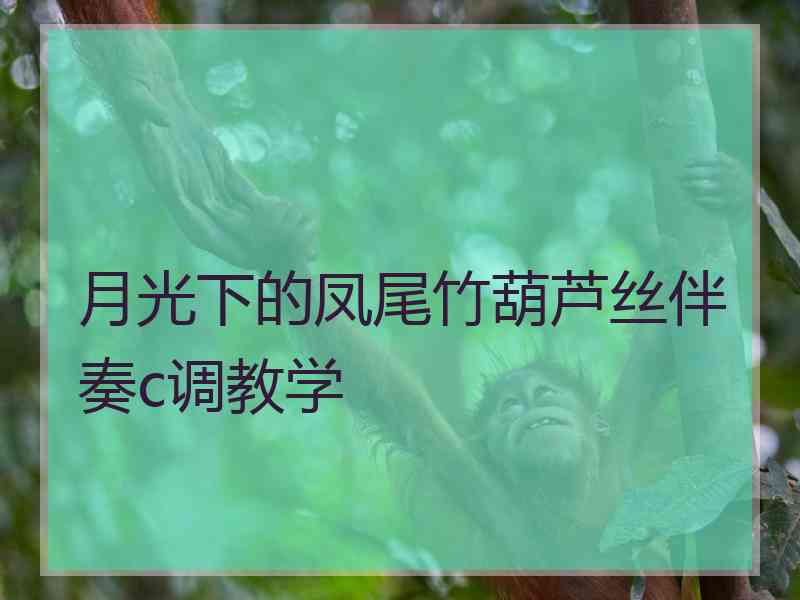 月光下的凤尾竹葫芦丝伴奏c调教学