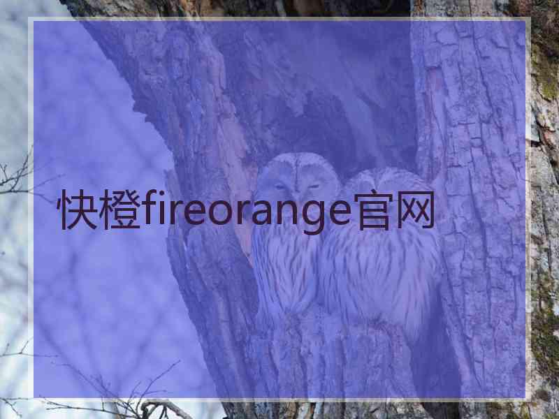 快橙fireorange官网