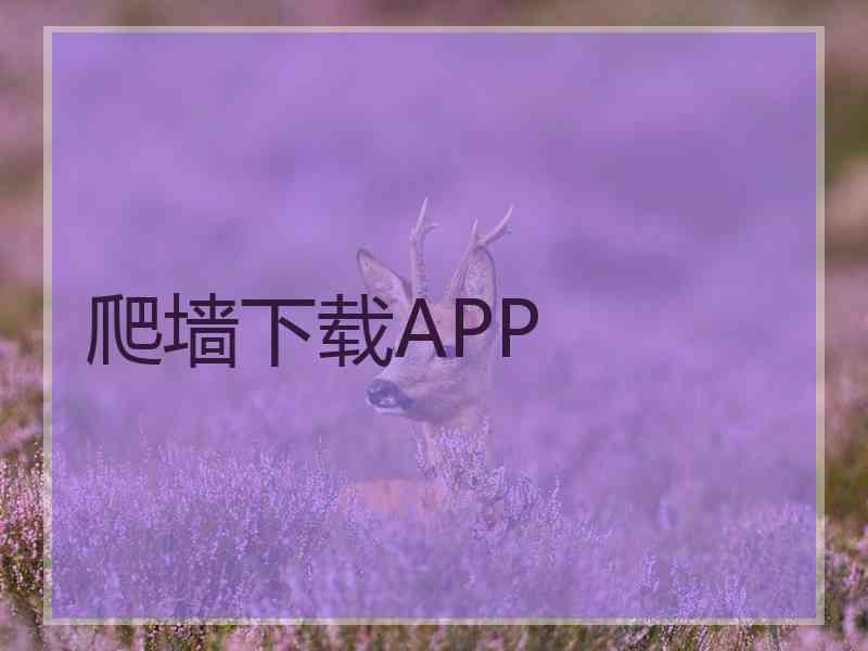 爬墙下载APP