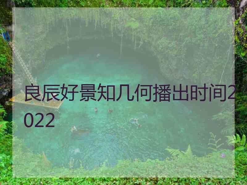 良辰好景知几何播出时间2022