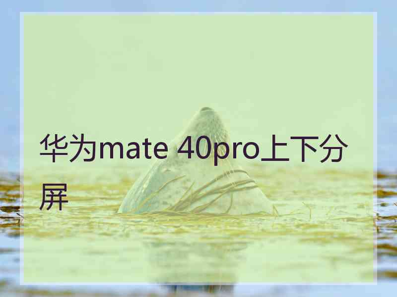 华为mate 40pro上下分屏