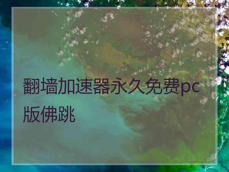 翻墙加速器永久免费pc版佛跳