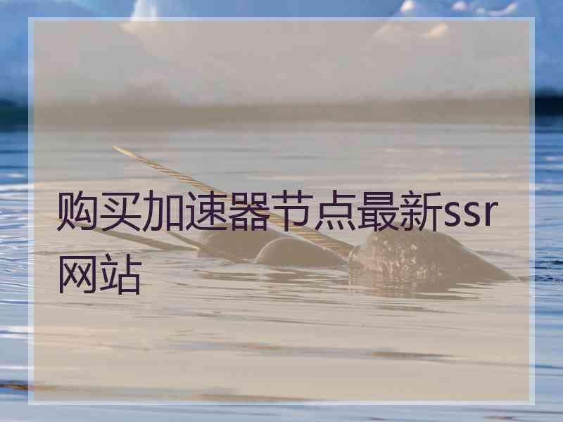 购买加速器节点最新ssr网站