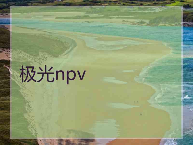 极光npv