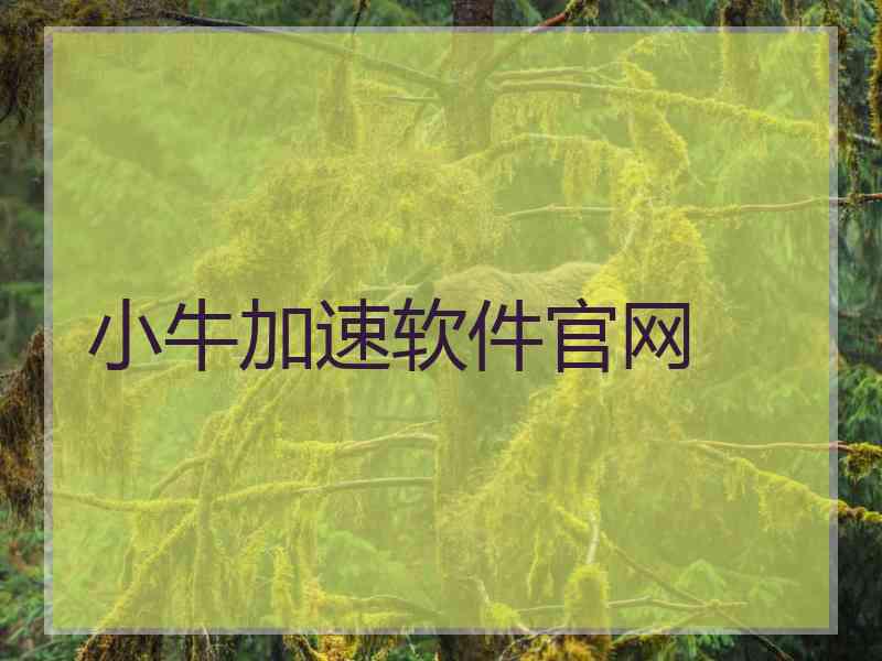 小牛加速软件官网