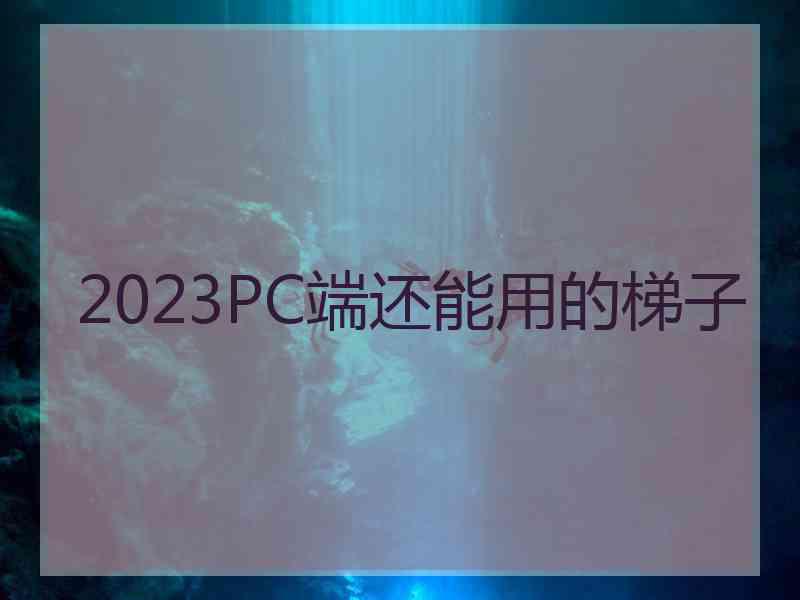 2023PC端还能用的梯子