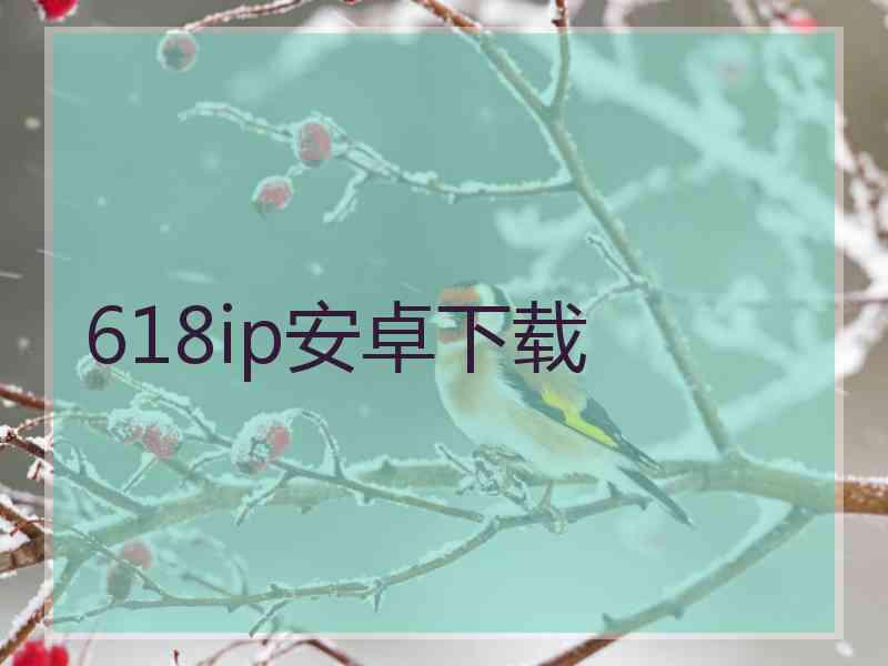 618ip安卓下载