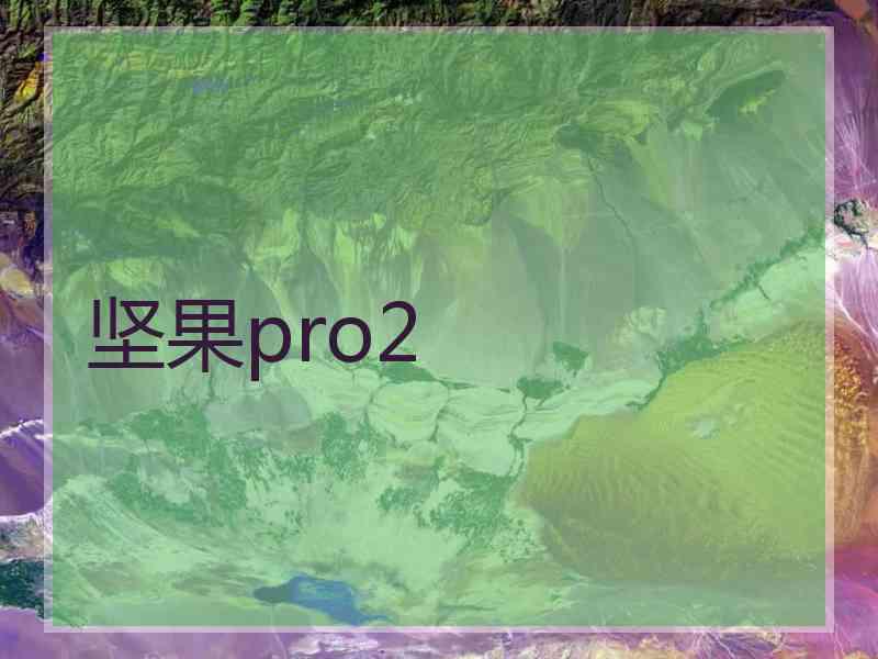 坚果pro2