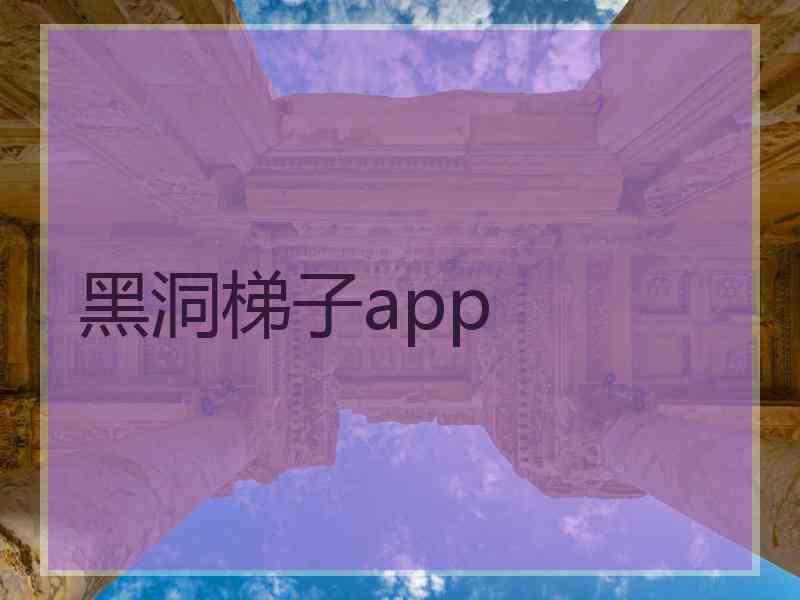 黑洞梯子app