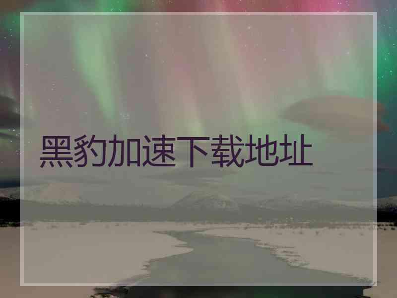 黑豹加速下载地址