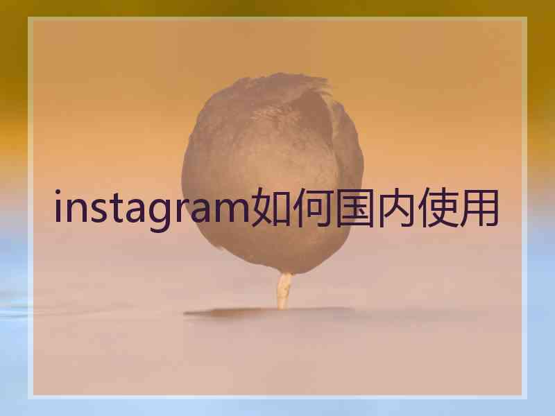 instagram如何国内使用