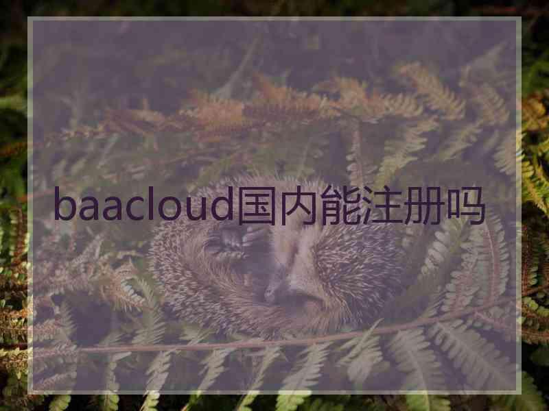 baacloud国内能注册吗