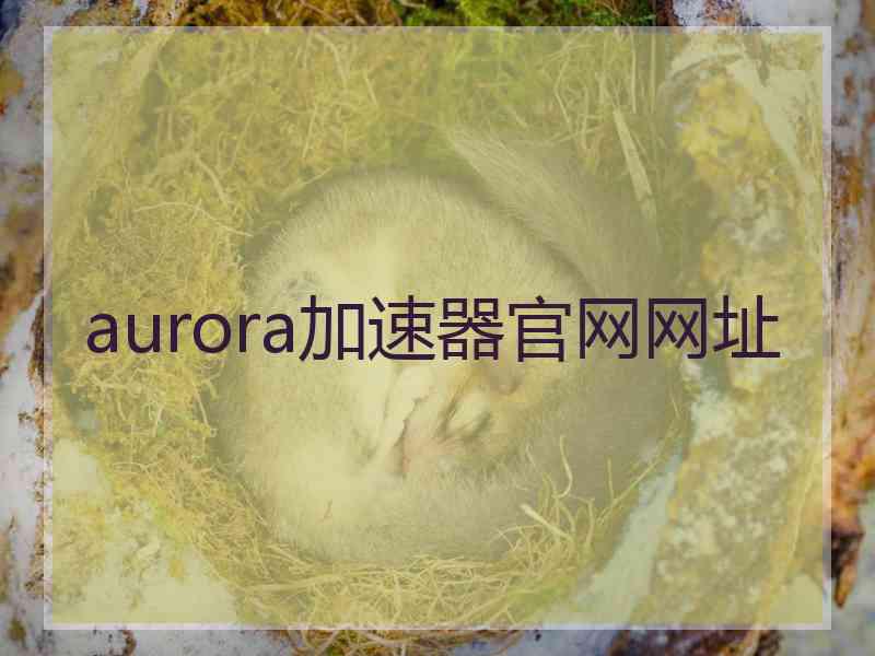 aurora加速器官网网址