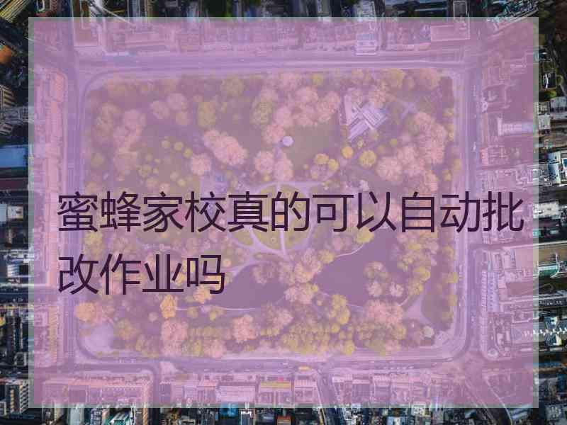 蜜蜂家校真的可以自动批改作业吗