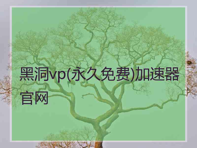 黑洞vp(永久免费)加速器官网