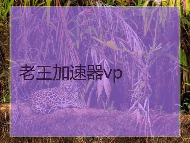 老王加速器vp