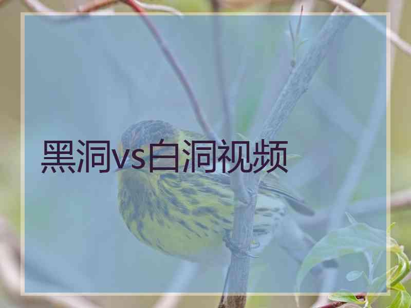 黑洞vs白洞视频