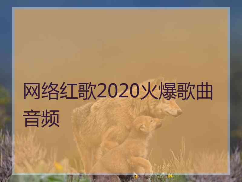 网络红歌2020火爆歌曲音频