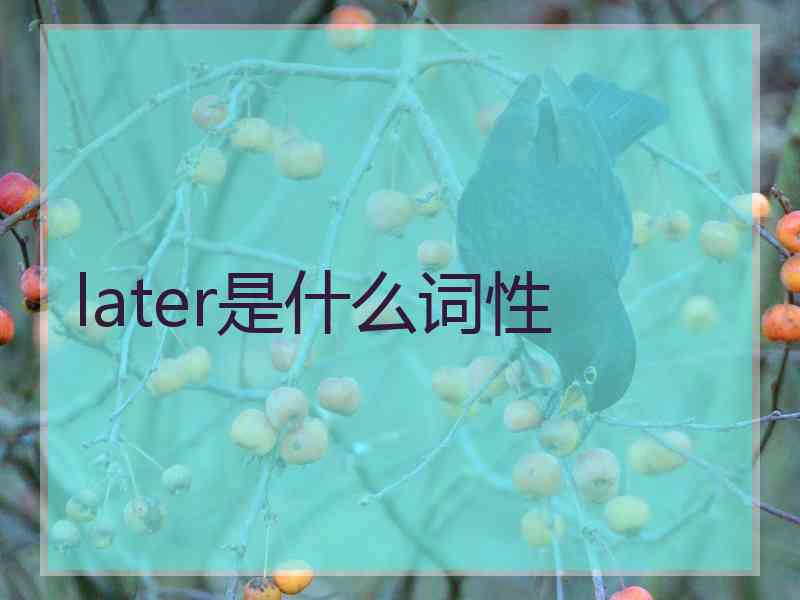 later是什么词性