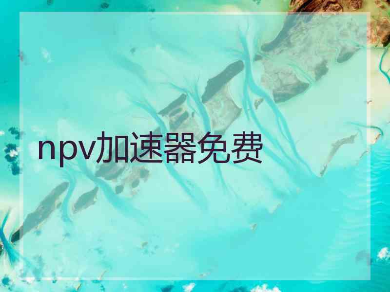 npv加速器免费