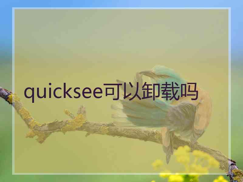 quicksee可以卸载吗