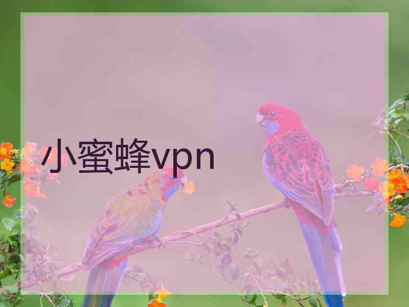 小蜜蜂vpn