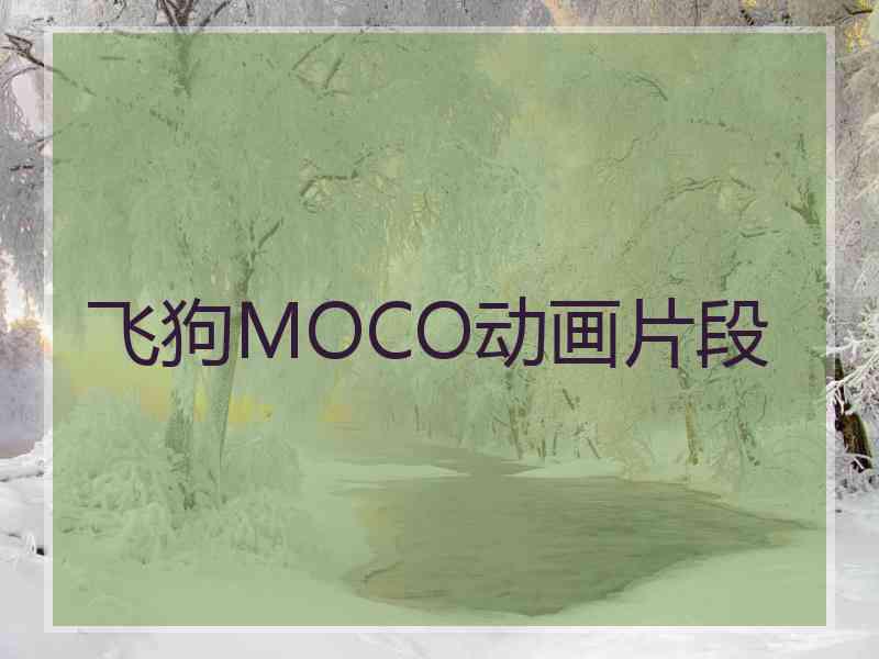 飞狗MOCO动画片段