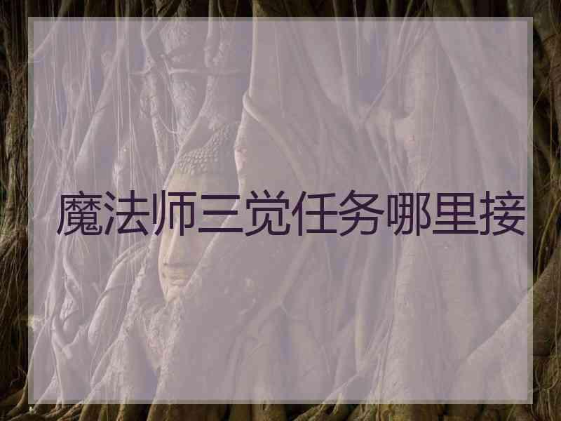 魔法师三觉任务哪里接