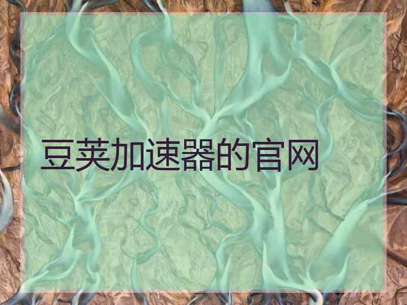 豆荚加速器的官网