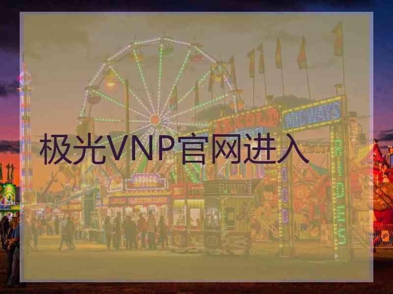 极光VNP官网进入