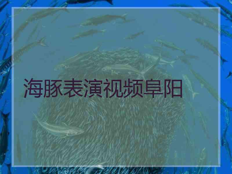 海豚表演视频阜阳