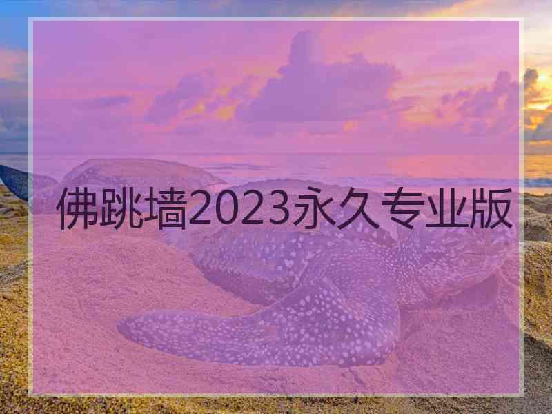 佛跳墙2023永久专业版