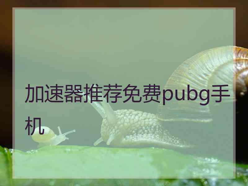 加速器推荐免费pubg手机