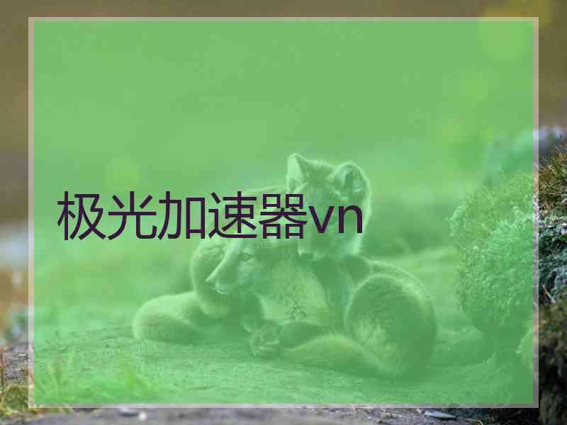 极光加速器vn