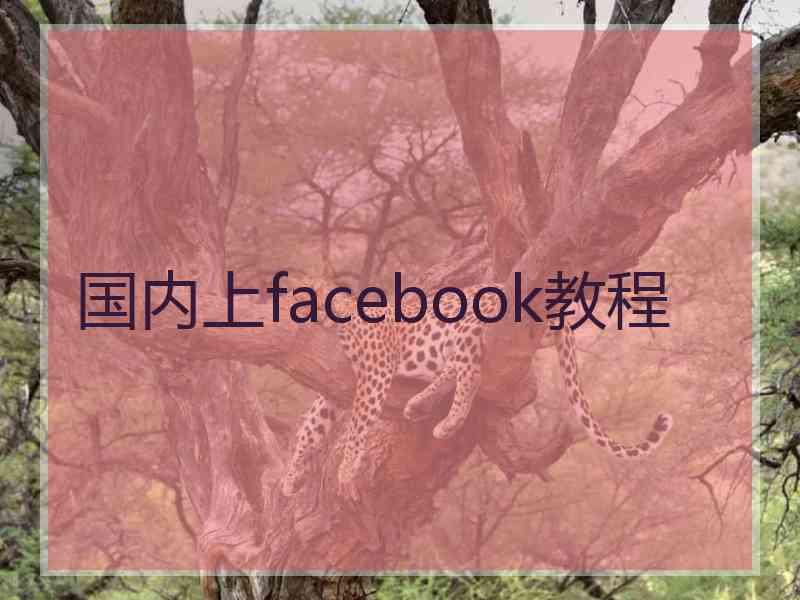 国内上facebook教程