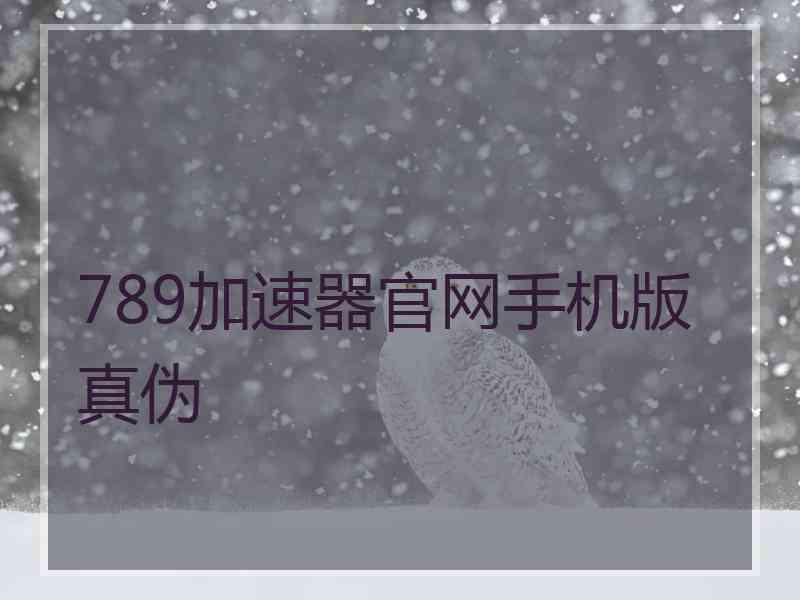 789加速器官网手机版真伪