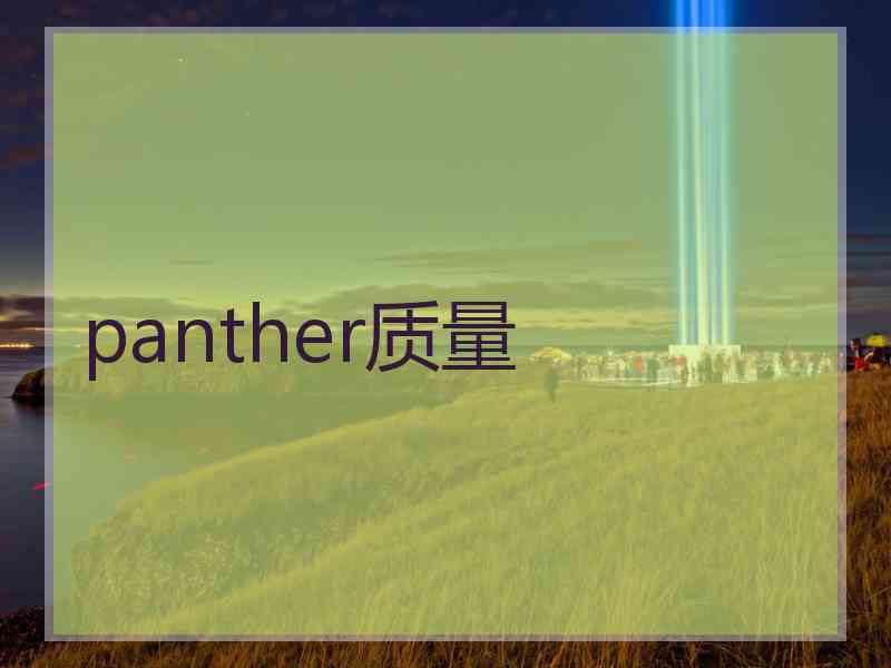 panther质量