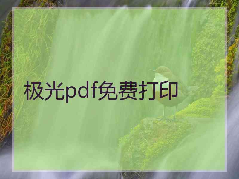 极光pdf免费打印