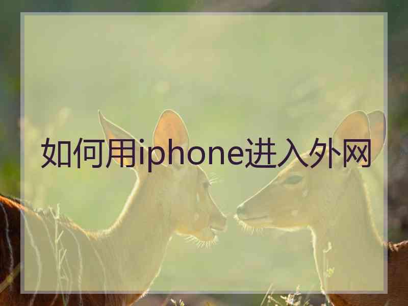 如何用iphone进入外网